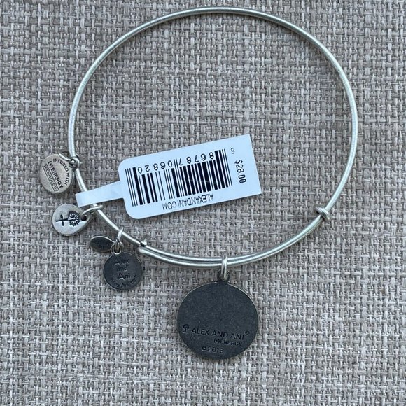 Alex And Ani Bracelet Zodiac AQUARIUS Silver Tone Wrist Band Size Adjustable $28 - Picture 4 of 11